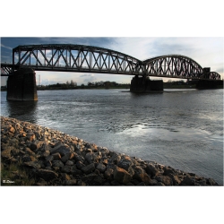 Brücke (Duisburg)